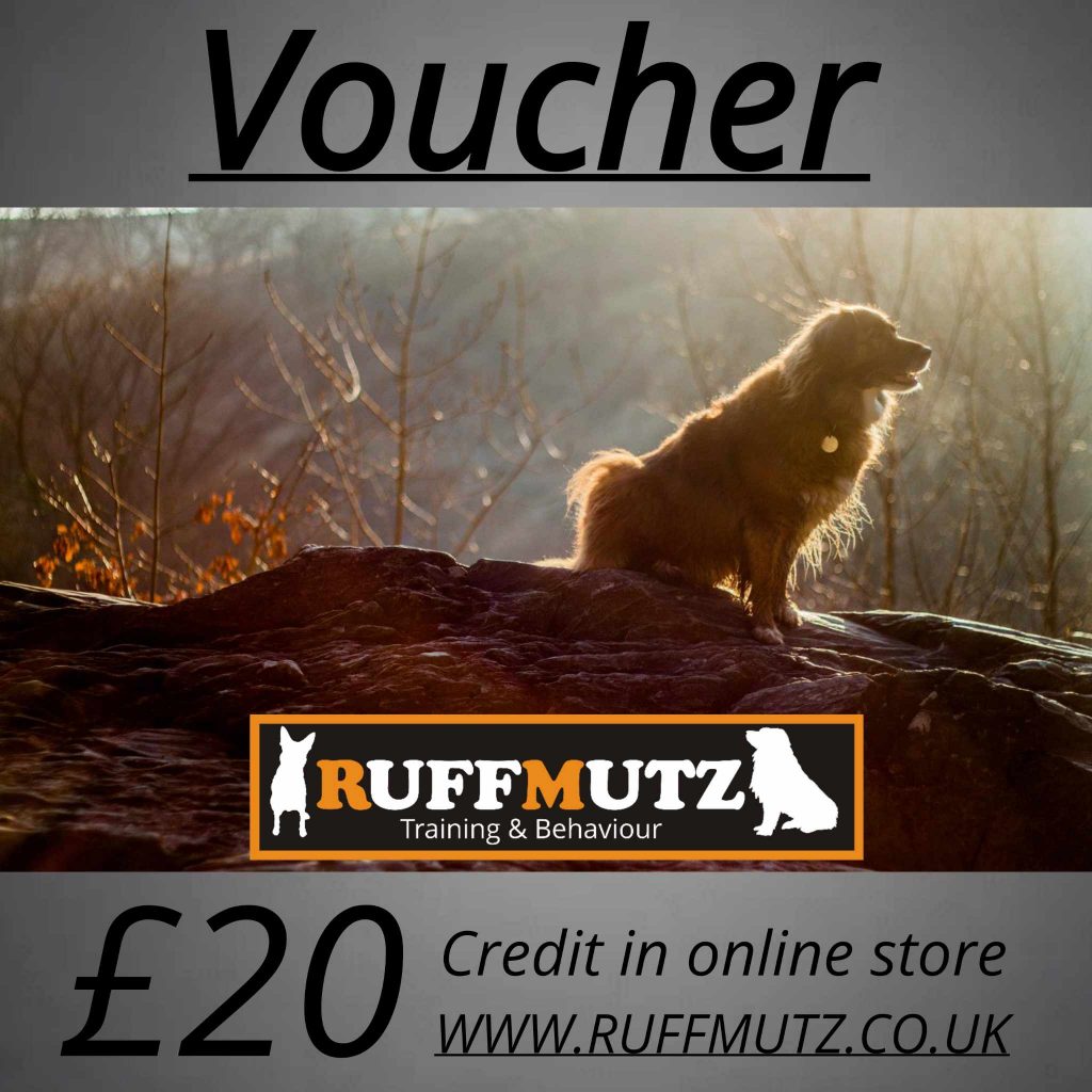 Voucher - £20