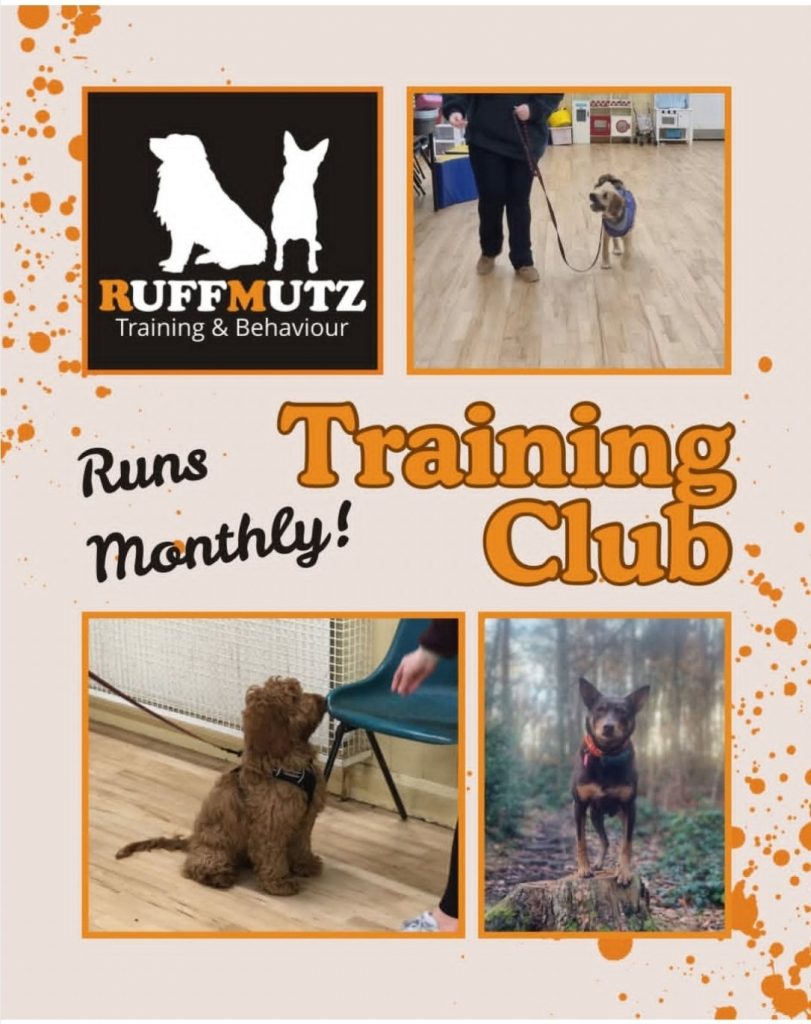 Training club