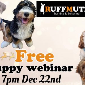 Free puppy webinar