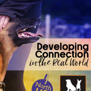 Developing Connection in the Real World