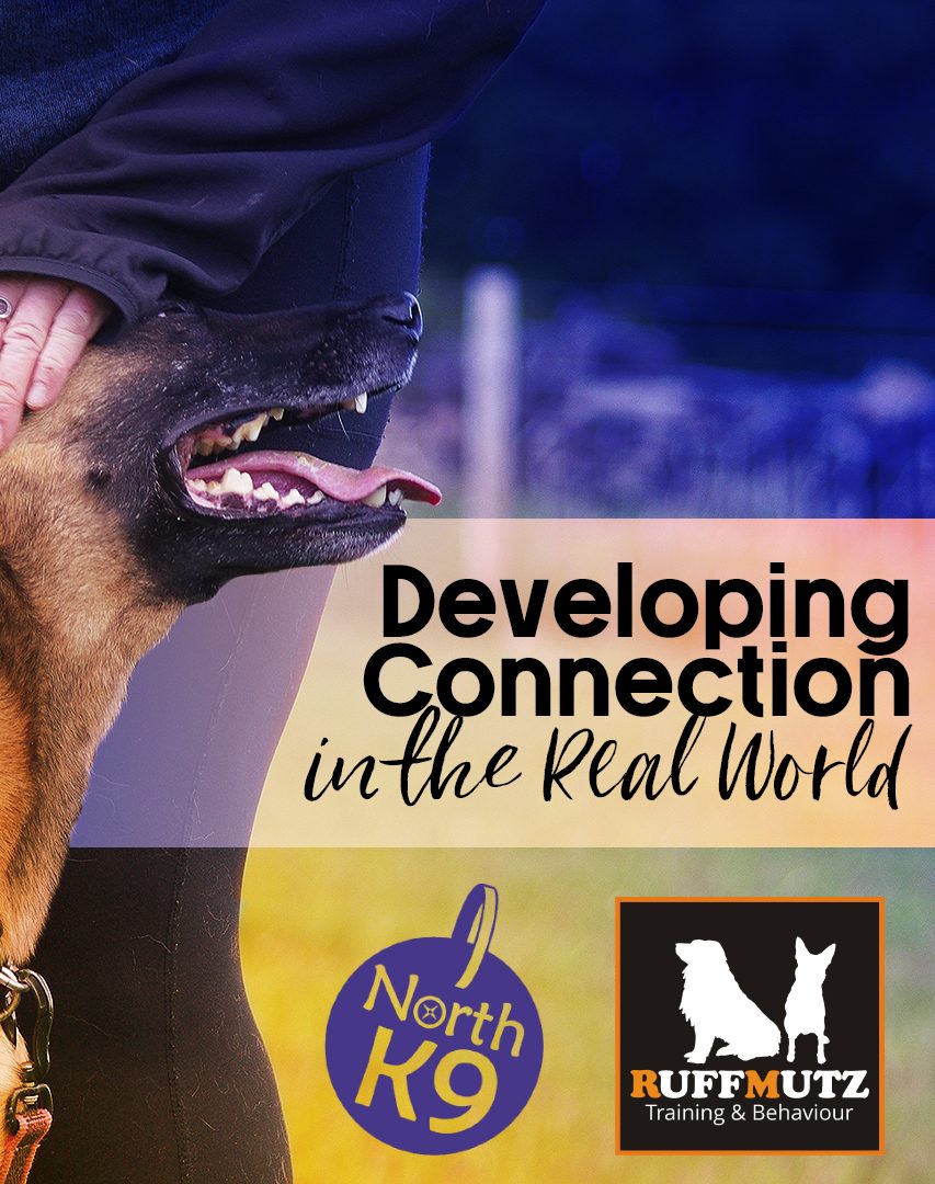 Developing Connection in the Real World